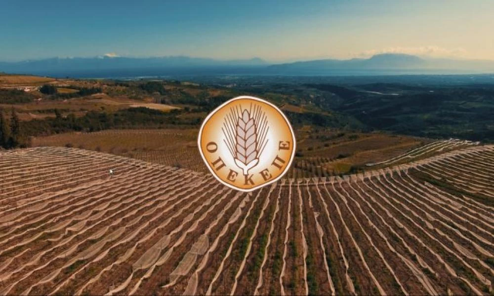 ΟΠΕΚΕΠΕ: Καταβολή ενισχύσεων σε περιοχές με φυσικά ή άλλα μειονεκτήματα